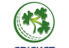 Cricket Ireland logo