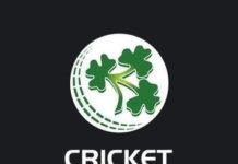 Cricket Ireland logo