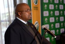 Cricket South Africa: Nenzani provides update on independent forensic audit