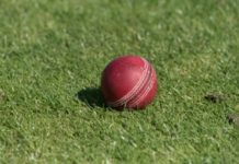 Cricket Ireland releases Safe Return to Training protocols for club cricket in Ireland