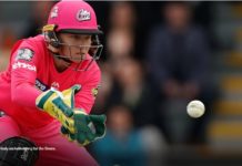 Sydney Sixers to sleepout for youth homelessness