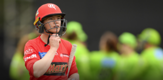 Melbourne Renegade: Jess Duffin retires from professional cricket