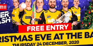 Cricket Wellington: Christmas Eve at the Basin