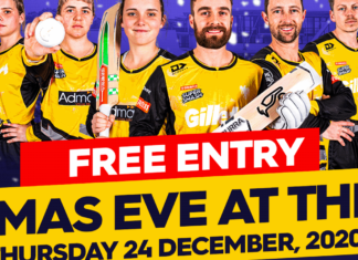 Cricket Wellington: Christmas Eve at the Basin