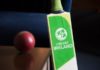 Cricket Ireland halts elite training after positive COVID-19 resul
