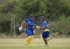 Cricket Namibia: NAM v ZIM Women Series Postponed