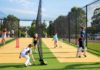 Cricket NSW Infrastructure Strategy released