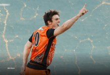 Perth Scorchers: Mitch and AJ named in Team of the Tournament
