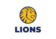 Central Gauteng Lions Cricket: Feeling safe with Secure Me SA
