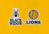 CGL: 2021/22 Black Widow Lions Cricket Men and Women Club T20 competition scheduled to kick off in October