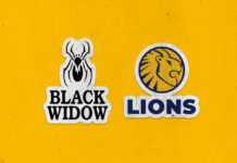 CGL: 2021/22 Black Widow Lions Cricket Men and Women Club T20 competition scheduled to kick off in October
