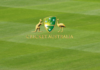Cricket Australia: 2022 State Cricket Awards