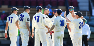 Cricket NSW: Premier Cricket returns this weekend