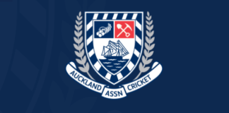 Brendon Gibson elected Auckland Cricket Chair | Three new Directors