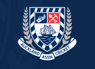 Brendon Gibson elected Auckland Cricket Chair | Three new Directors