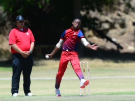 Lions Cricket announce Youth Week Teams