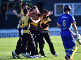 Cricket Wellington: Neesham calls time on Wellington career