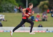 Will Williams departs NZ cricket