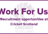 Cricket Scotland searches for new Chair and Director