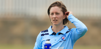 Cricket NSW: Haynes pulls stumps on WNCL and international career