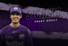 Hobart Hurricanes: Dooley spins into the Hurricanes