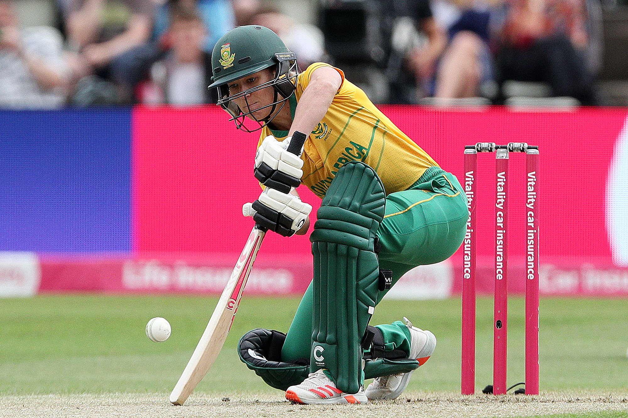 CSA: Bosch has sights on 2023 T20 World Cup squad berth after up and down year