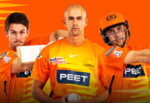 Perth Scorchers: World Cup beckons for Scorchers trio