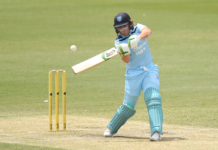 Cricket NSW: Commonwealth Games gold medallists back for Breakers