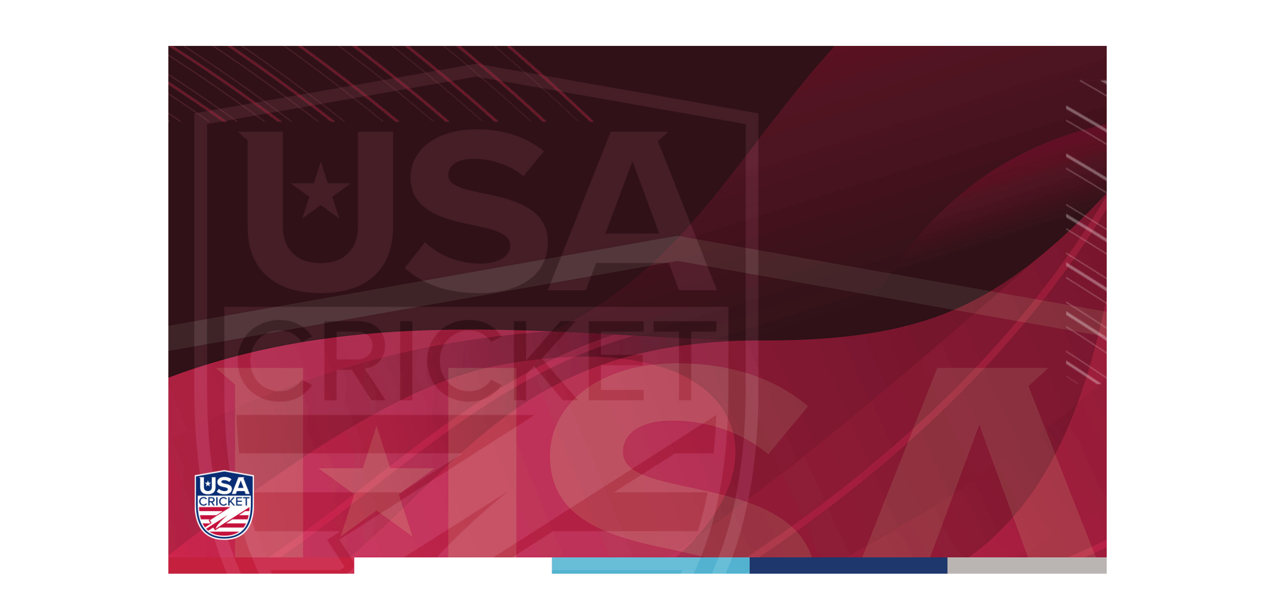 USA Cricket: Reminder Alert - NGC announces call for applications for three Board Directors in 2021 Elections, Independent Director submissions now closed