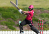 Sydney Sixers: Bolton calls time