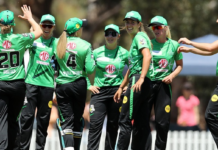 Melbourne Stars: Brown Property Group join the Stars