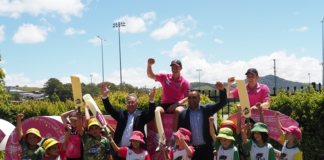 Sydney Sixers: A financial boost for our Big Bash