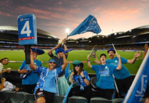 Adelaide Strikers BBL|12 best moments