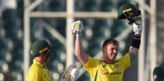 Queensland Cricket: McDermott Returns