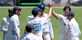 Cricket NSW: Blues appoint Shipperd assistants