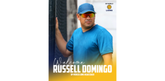 Lions Cricket: Russell Domingo named DP World Lions Head Coach
