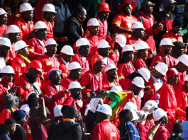 Zimbabwe Cricket: Fans can attend Qualifier Final free of charge