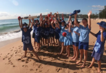 Cricket NSW off to a fast start ahead of Play Cricket Week