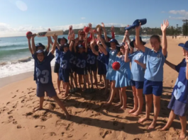 Cricket NSW off to a fast start ahead of Play Cricket Week