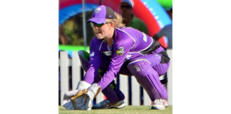 Queensland Cricket: Redmayne Returns