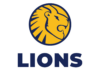Lions Cricket: Central Gauteng Lions - New Board ready to lead