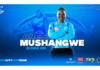Adelaide Strikers: Mushangwe spinning into WBBL|09