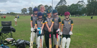 Cricket NSW: Hornsby, Hills District, launch brand new cricket girls’ competition