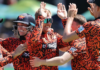 SA20 League: Harmer loves it when a plan comes together