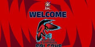 CPL: Antigua & Barbuda Falcons unveiled as new franchise
