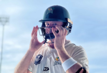 NZC: Hay leaves big shoes to fill