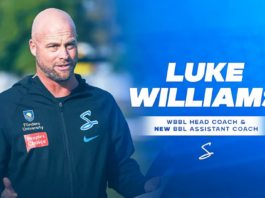 Adelaide Strikers: Luke Williams confirms new role with SACA