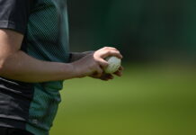 High Performance improvements announced as Cricket Ireland plans for future