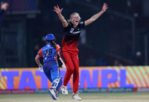 The Hundred: Ellyse Perry named Birmingham Phoenix captain for 2024
