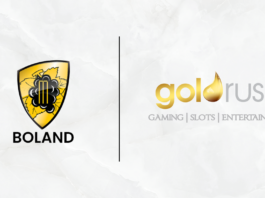 CSA: Goldrush announced as naming rights sponsor for Boland Cricket